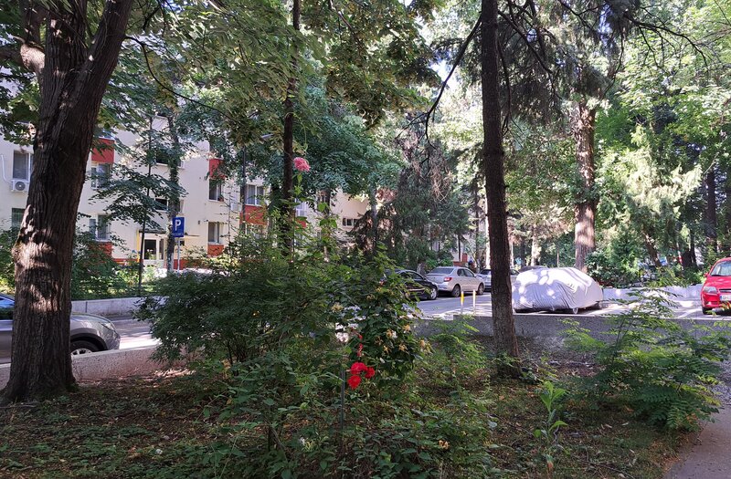 Brancoveanu, p/4, proprietar, mobilat, colaborez, ocazie,