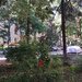 Brancoveanu, din bulevard, p/4, propietar, colaborez