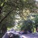 Brancoveanu, din bulevard, p/4, propietar, colaborez