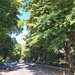 Brancoveanu, din bulevard, p/4, propietar, colaborez
